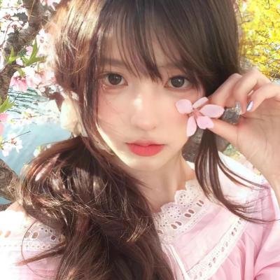 满目皆琳琅
